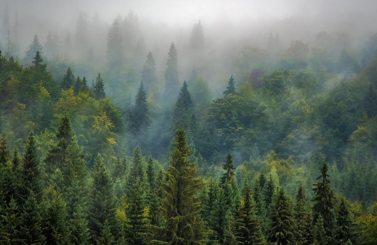 Nezapomeňte na stavební připravenost před stavbou sauny